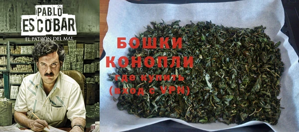 дмт Богданович