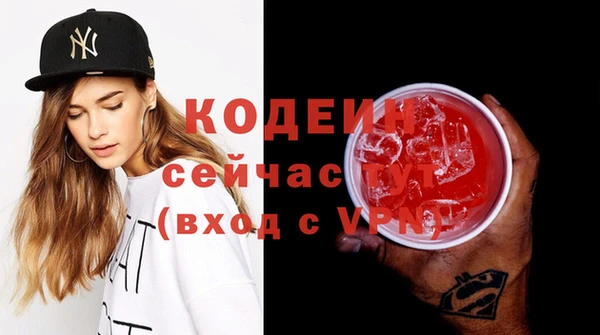 дмт Богданович
