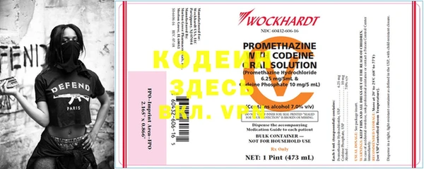 дмт Богданович
