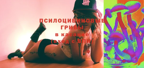 ALPHA PVP Богородицк