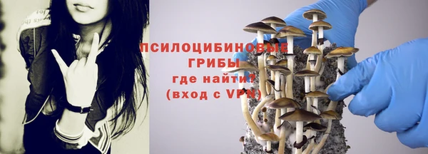 ALPHA PVP Богородицк