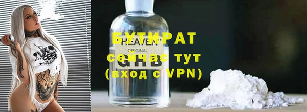 дмт Богданович
