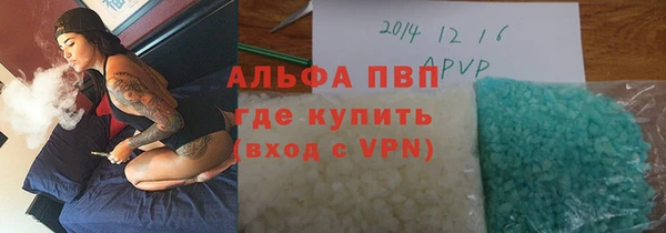 дмт Богданович