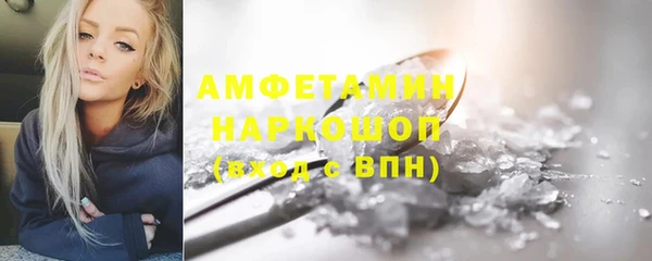 дмт Богданович