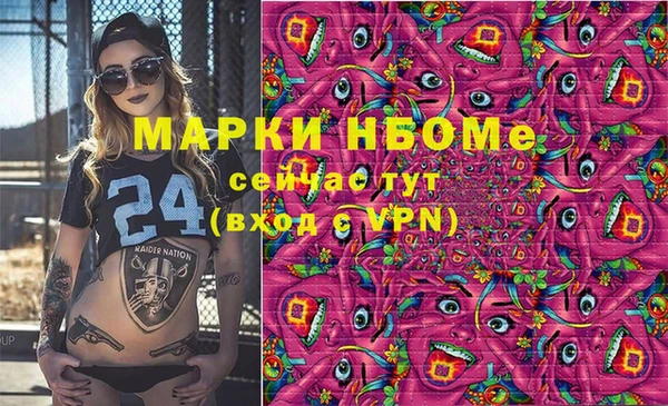дмт Богданович