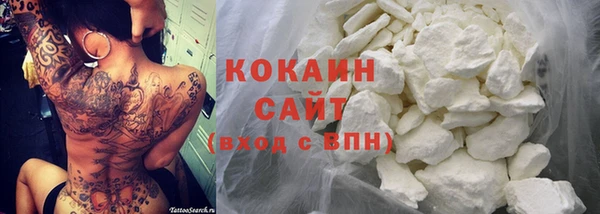 дмт Богданович