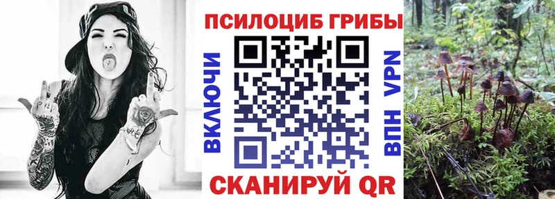 Псилоцибиновые грибы Magic Shrooms  Бугульма 